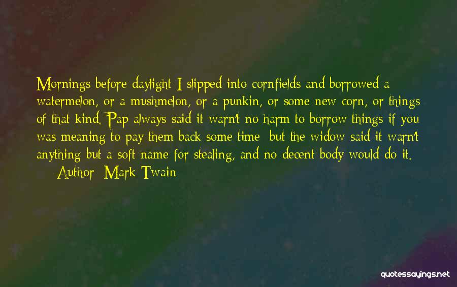 No Decency Quotes By Mark Twain