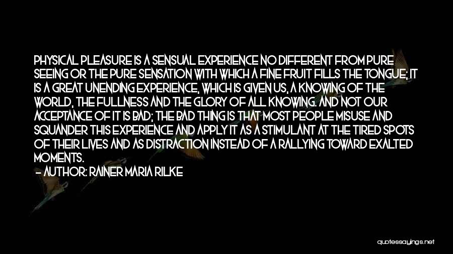 No Distraction Quotes By Rainer Maria Rilke