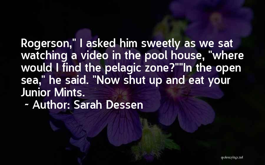 No Drama Zone Quotes By Sarah Dessen