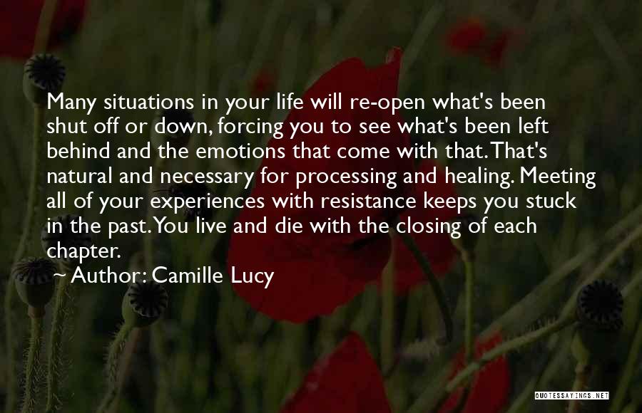 No Emotions Left Quotes By Camille Lucy