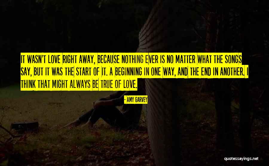 No End Love Quotes By Amy Garvey