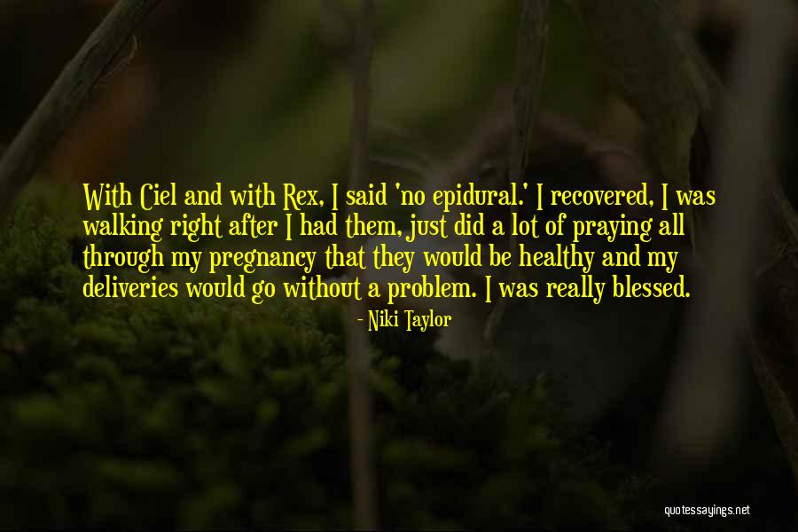 No Epidural Quotes By Niki Taylor No Epidural Quotes By Niki Taylor