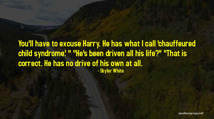 No Excuse Quotes By Skyler White No Excuse Quotes By Skyler White
