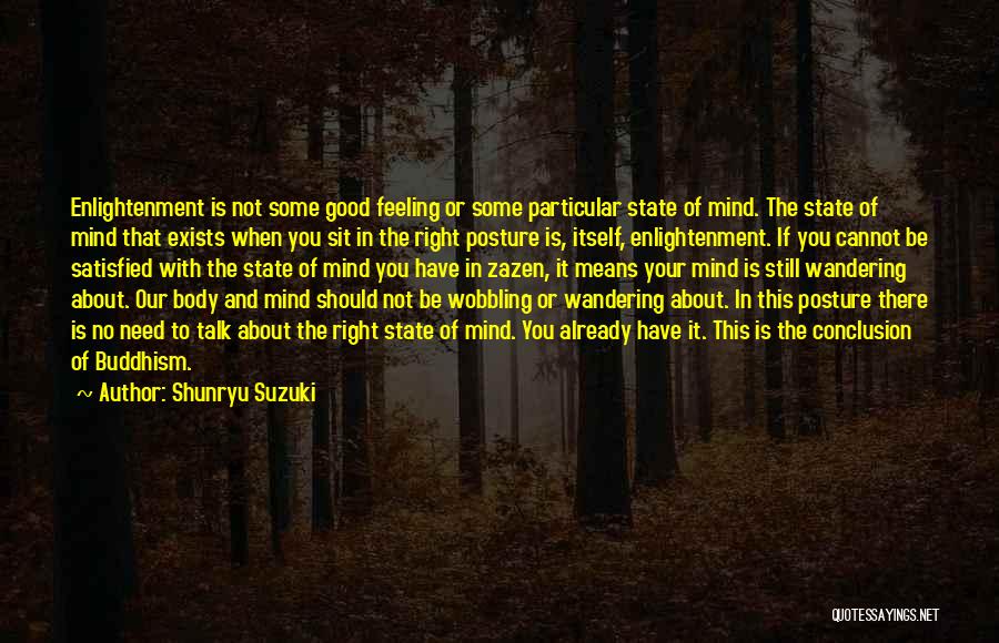 No Feeling Good Quotes By Shunryu Suzuki