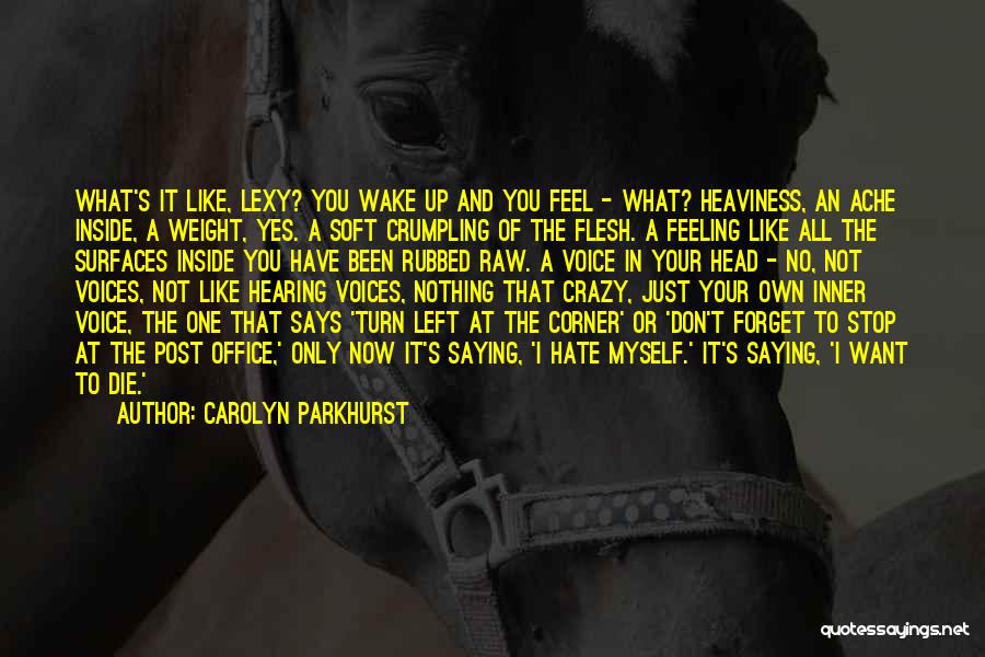 No Feeling Left Quotes By Carolyn Parkhurst