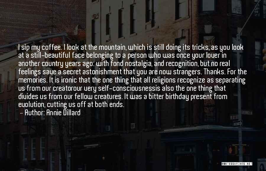 No Feelings At All Quotes By Annie Dillard