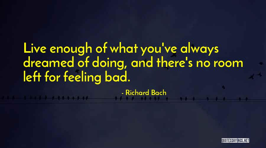 No Feelings Left Quotes By Richard Bach