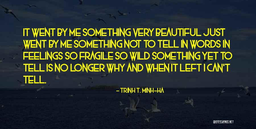 No Feelings Left Quotes By Trinh T. Minh-ha