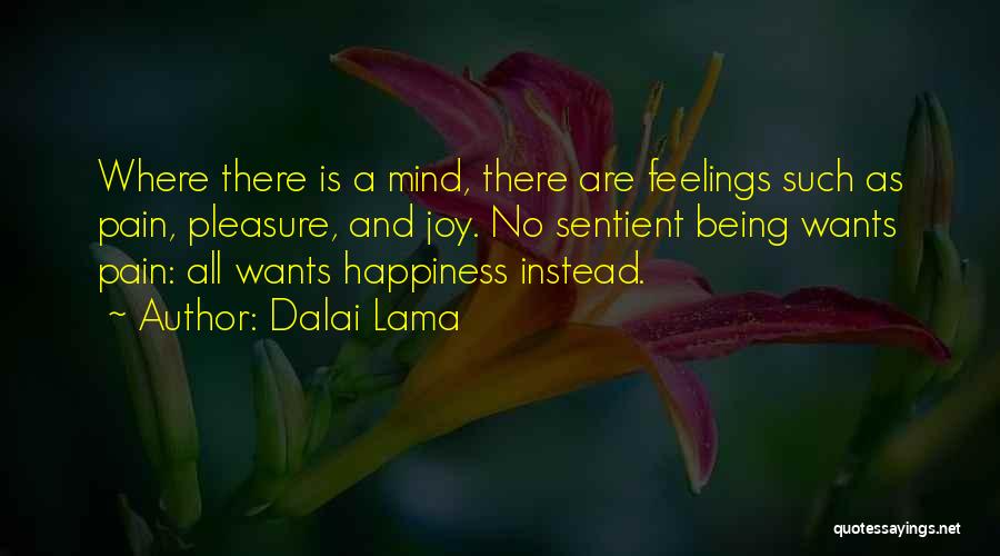 No Feelings No Pain Quotes By Dalai Lama