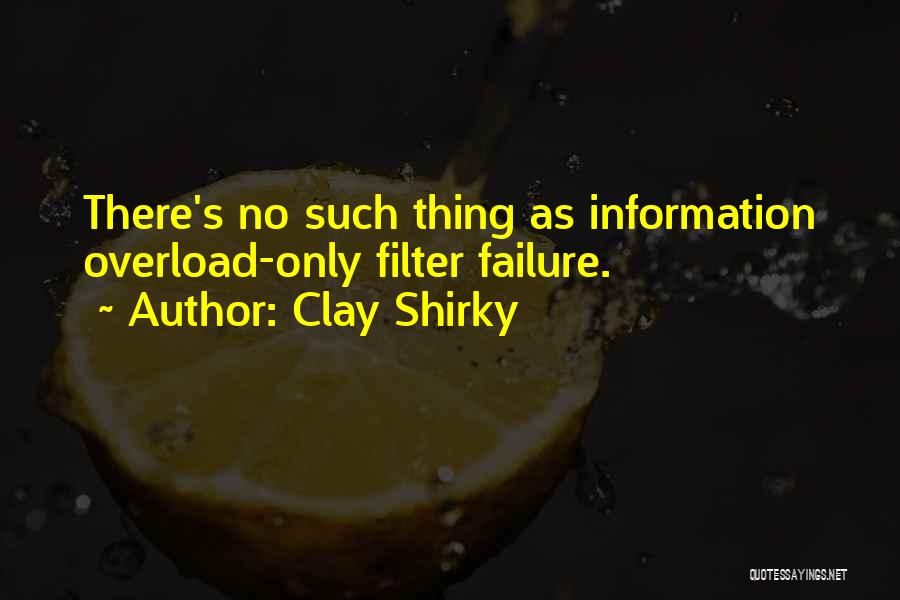 No Filters Quotes By Clay Shirky