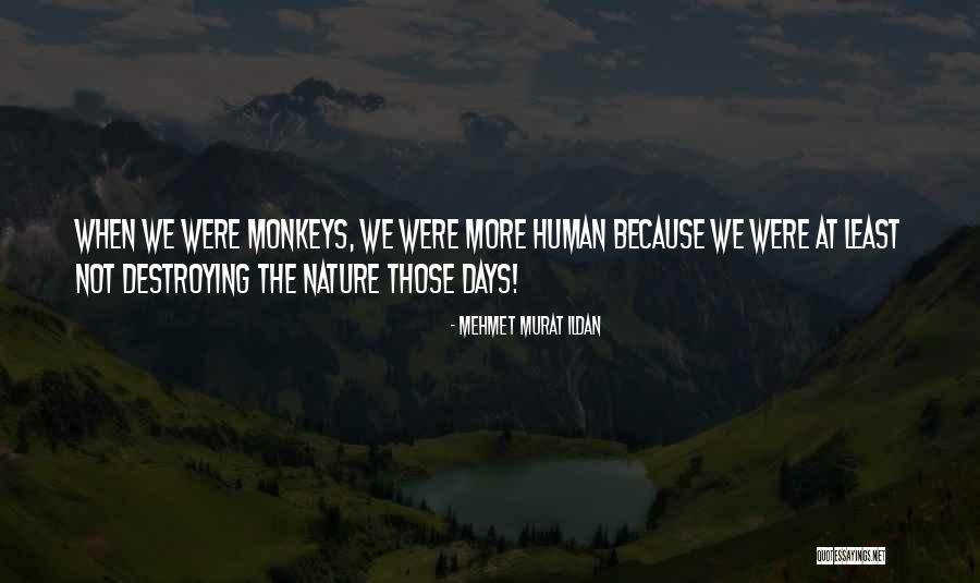 No First Use Policy Quotes By Mehmet Murat Ildan No First Use Policy Quotes By Mehmet Murat Ildan