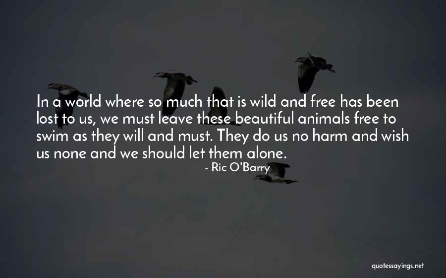 No Free Will Quotes By Ric O'Barry