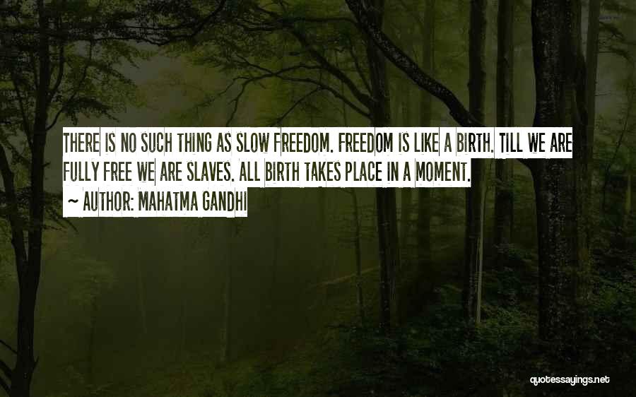 No Freedom Quotes By Mahatma Gandhi