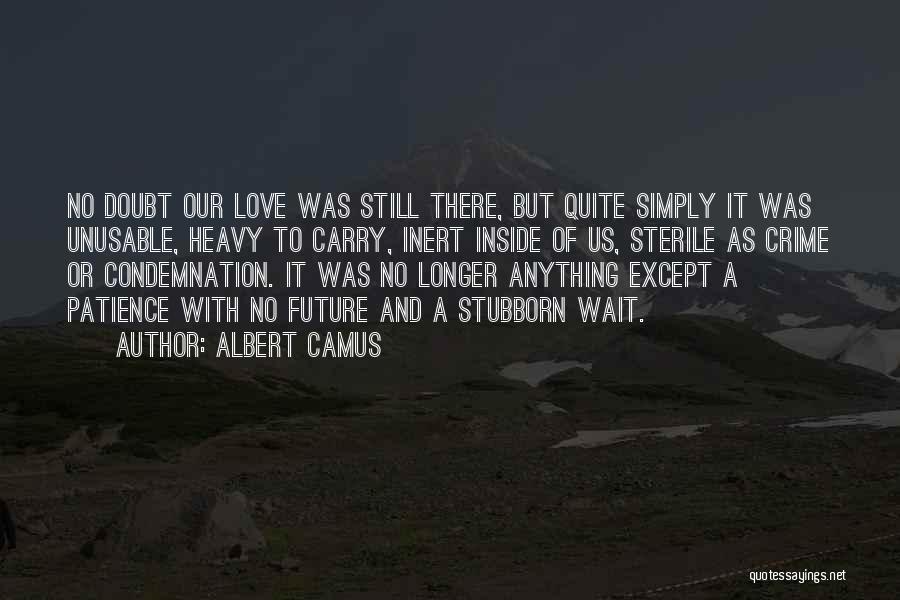 No Future Love Quotes By Albert Camus