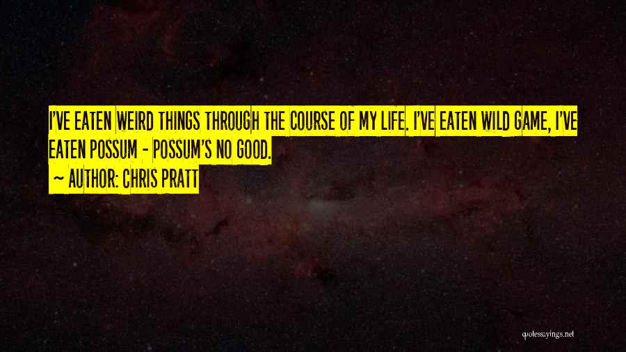 No Game No Life Quotes By Chris Pratt