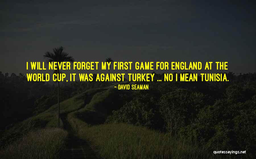 No Games Quotes By David Seaman No Games Quotes By David Seaman