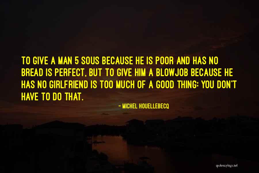 No Girlfriend Quotes By Michel Houellebecq