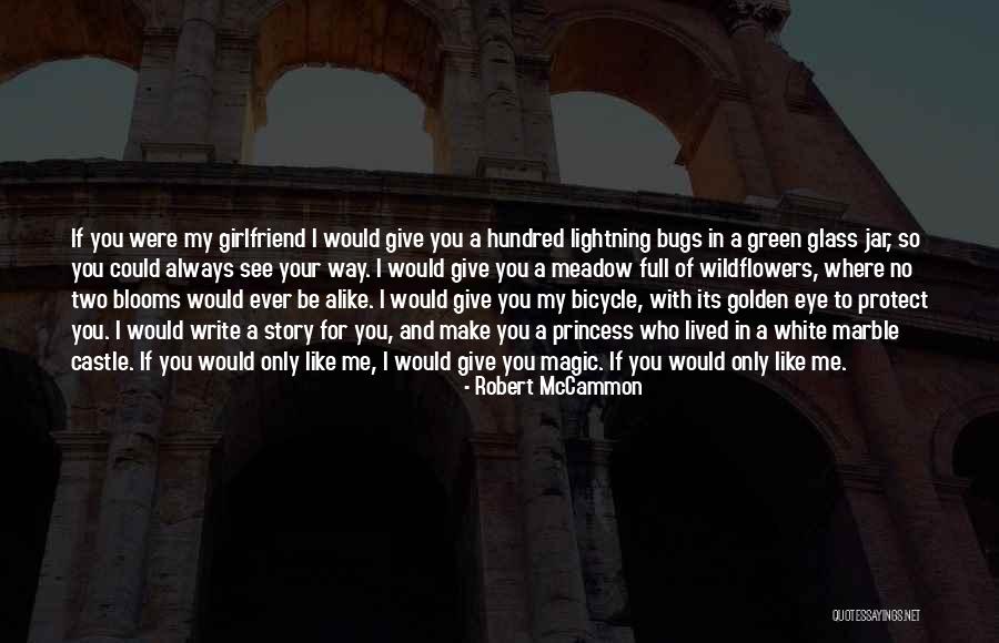 No Girlfriend Quotes By Robert McCammon