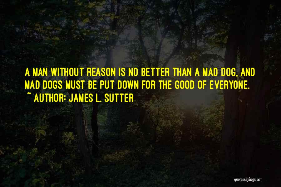 No Good Man Quotes By James L. Sutter