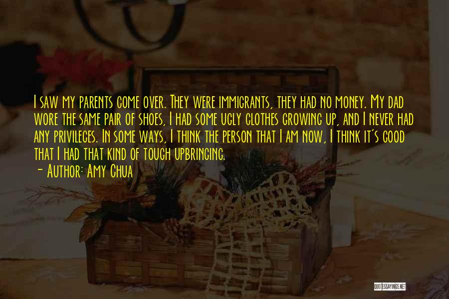 No Good Parents Quotes By Amy Chua