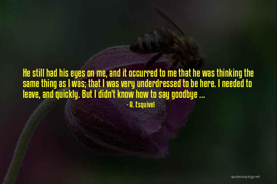 No Goodbyes Quotes By A. Esquivel No Goodbyes Quotes By A. Esquivel