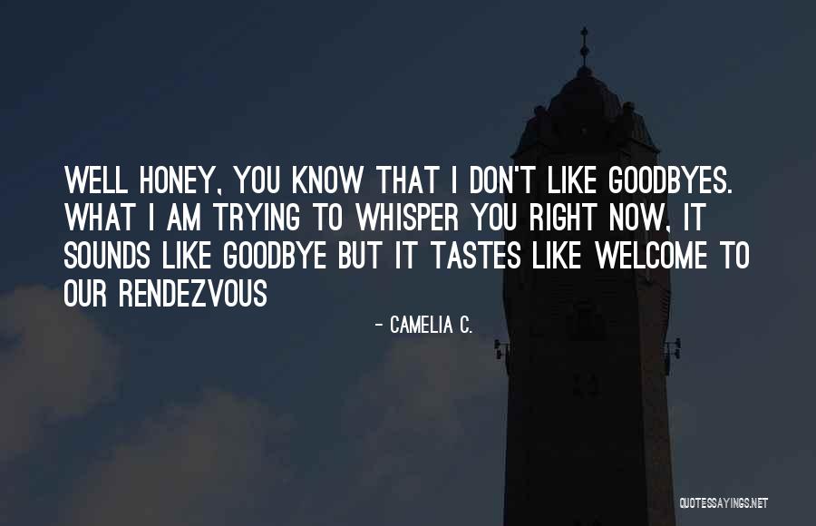 No Goodbyes Quotes By Camelia C. No Goodbyes Quotes By Camelia C.
