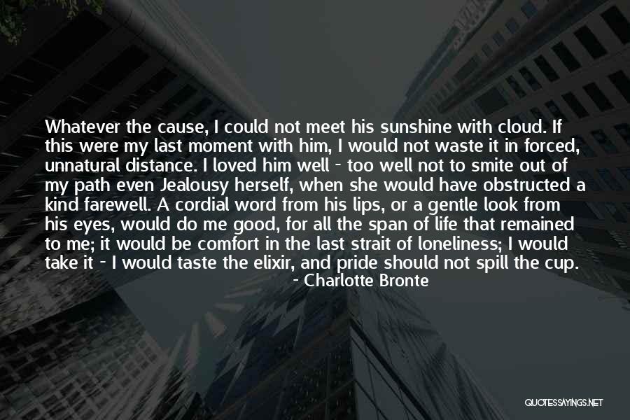 No Goodbyes Quotes By Charlotte Bronte No Goodbyes Quotes By Charlotte Bronte