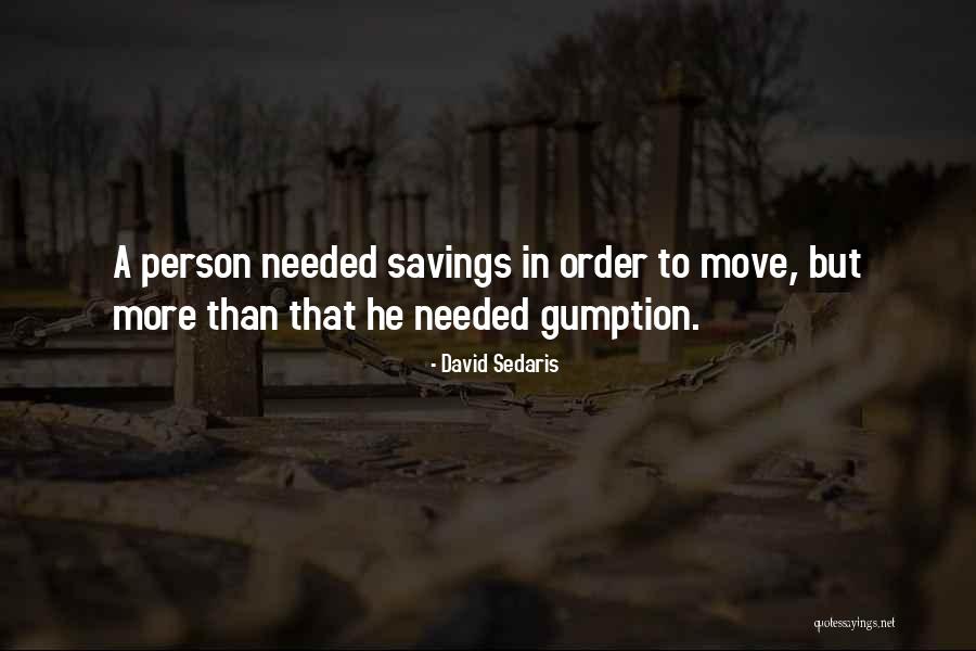 No Gumption Quotes By David Sedaris