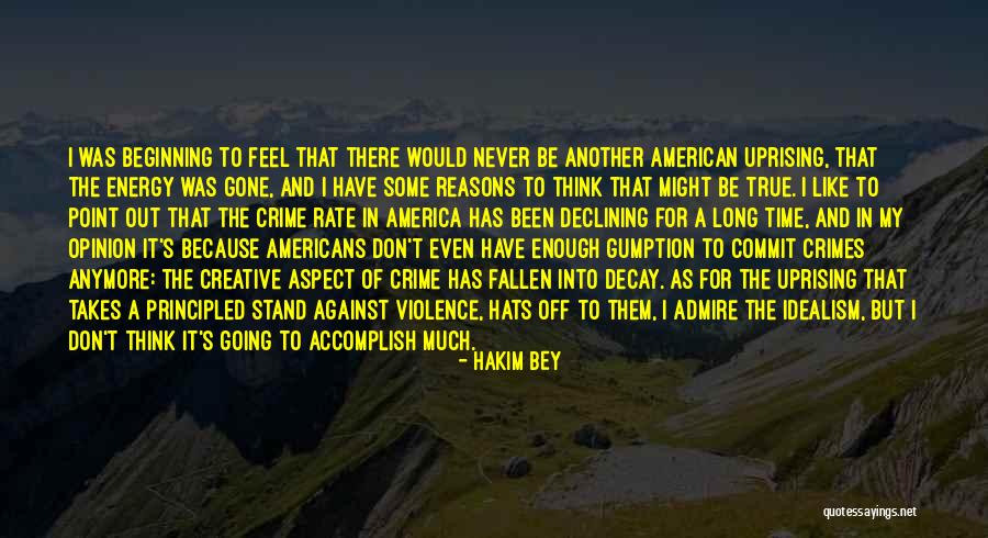 No Gumption Quotes By Hakim Bey