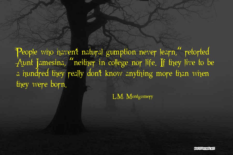 No Gumption Quotes By L.M. Montgomery