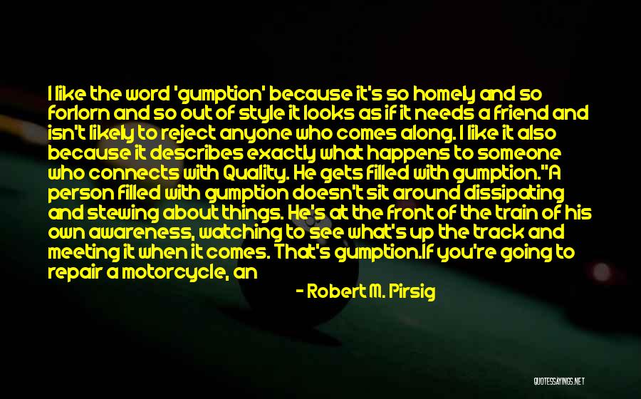 No Gumption Quotes By Robert M. Pirsig