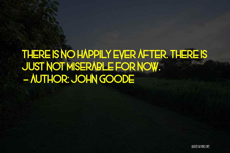 No Happily Ever After Quotes By John Goode