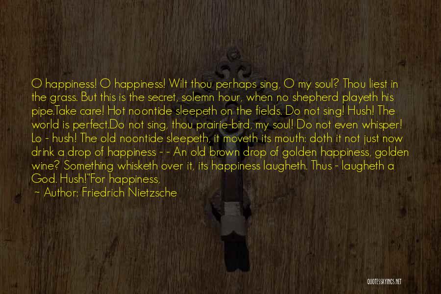 No Happiness In My Life Quotes By Friedrich Nietzsche