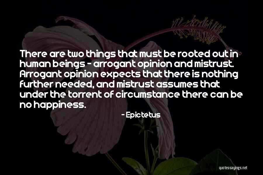 No Happiness Quotes By Epictetus