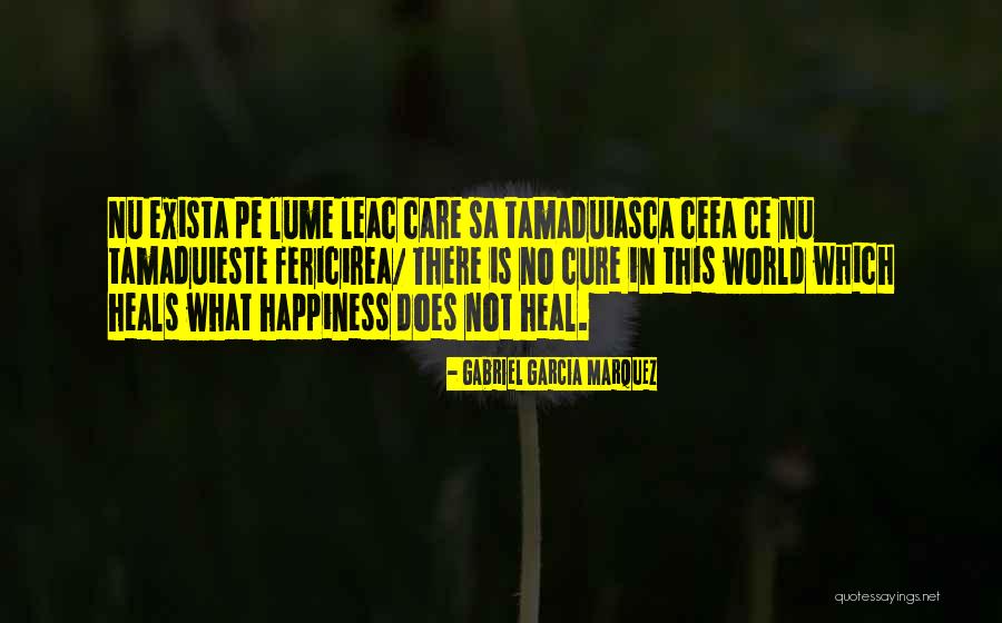 No Happiness Quotes By Gabriel Garcia Marquez