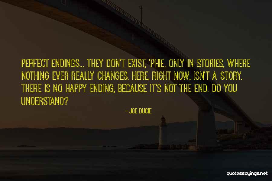 No Happy Endings Quotes By Joe Ducie