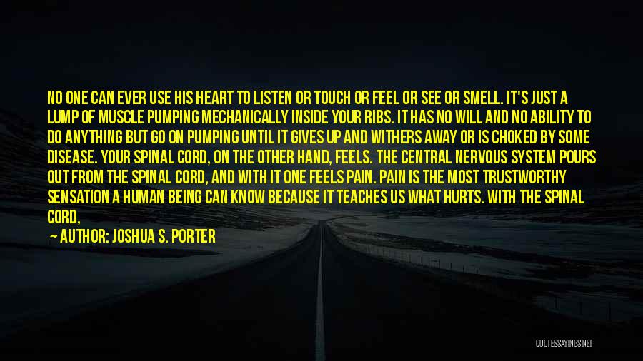 No Heart No Pain Quotes By Joshua S. Porter