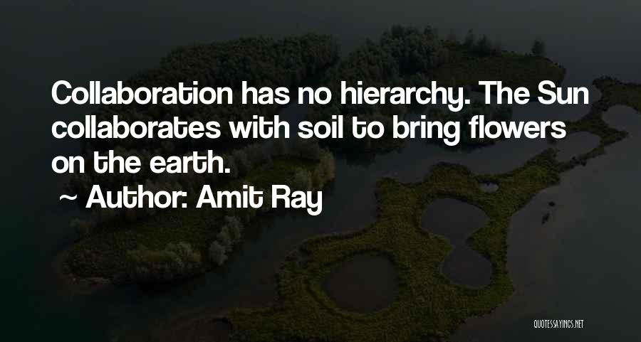 No Hierarchy Quotes By Amit Ray