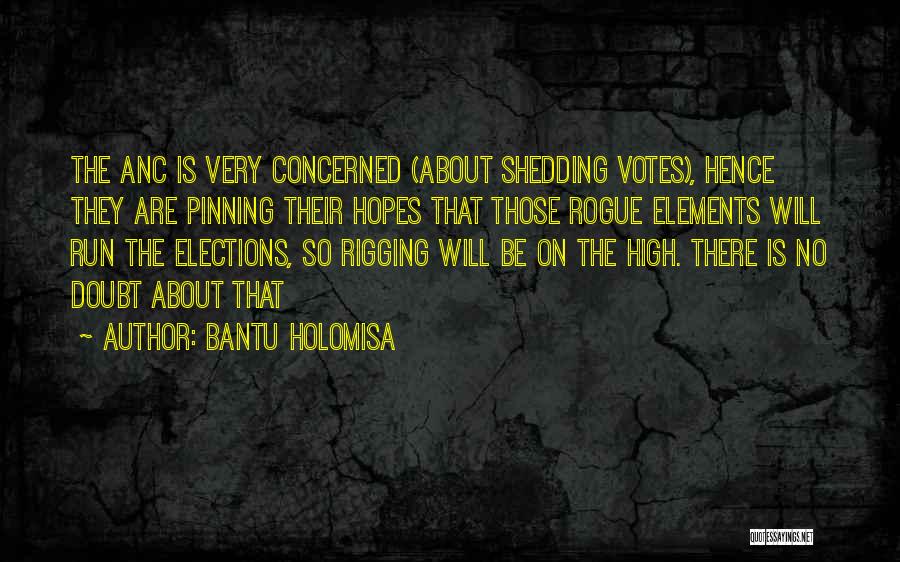 No High Hopes Quotes By Bantu Holomisa