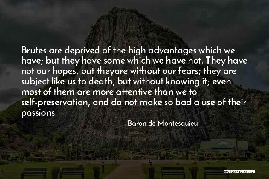 No High Hopes Quotes By Baron De Montesquieu