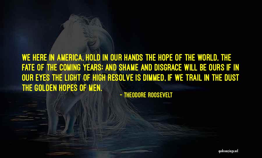 No High Hopes Quotes By Theodore Roosevelt