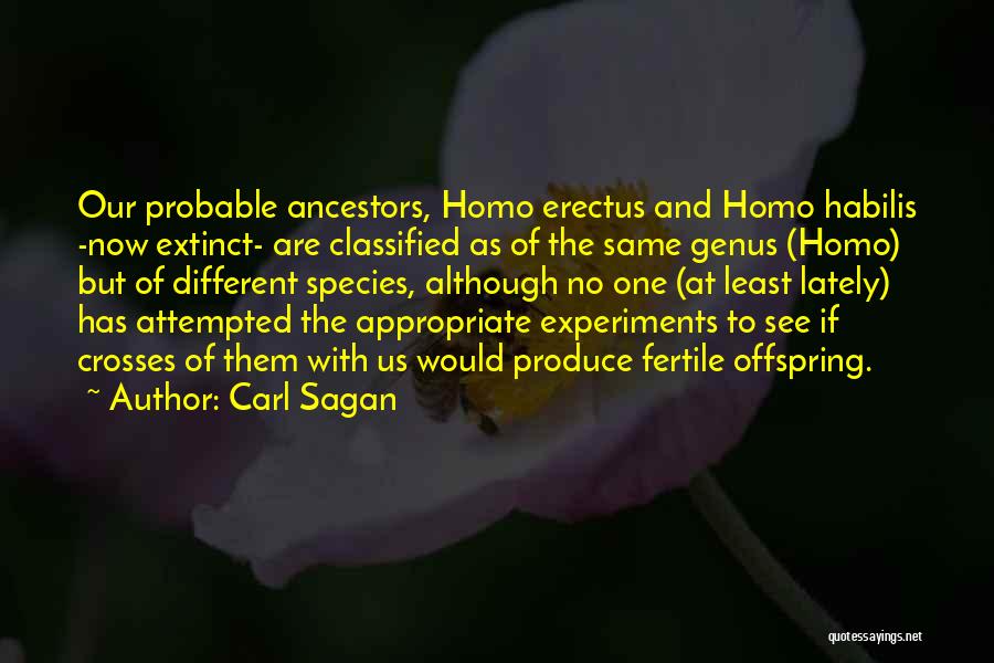 No Homo Quotes By Carl Sagan