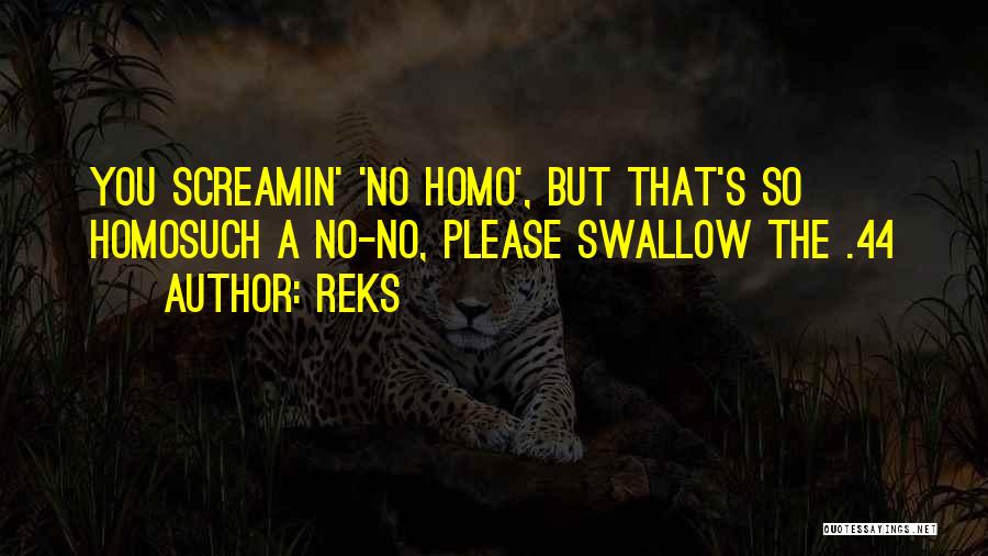 No Homo Quotes By Reks