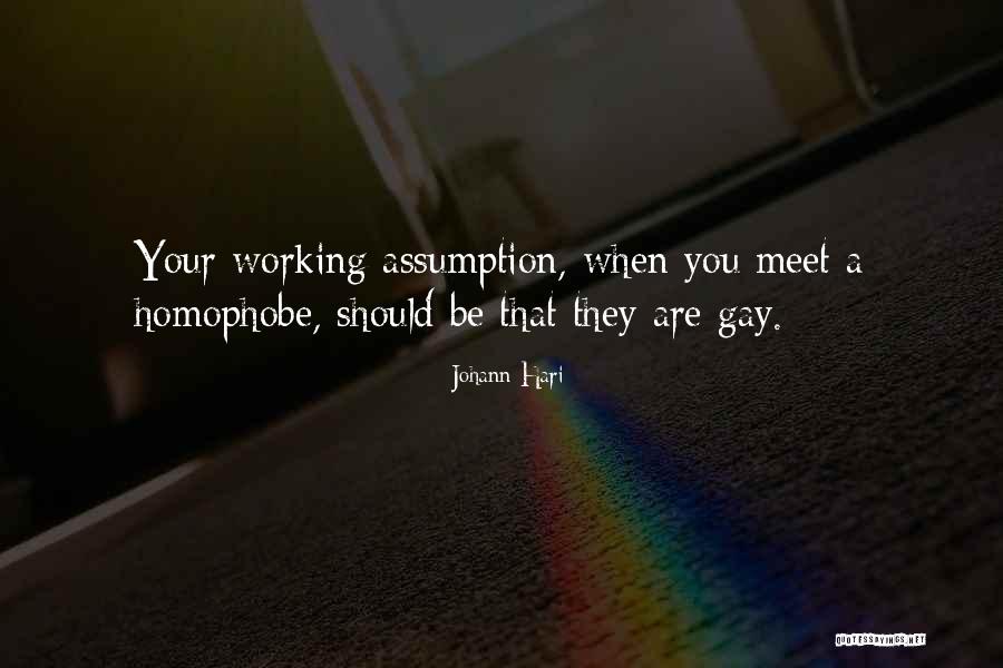 No Homophobia Quotes By Johann Hari
