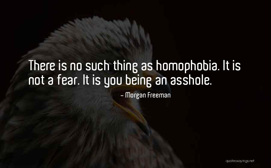 No Homophobia Quotes By Morgan Freeman