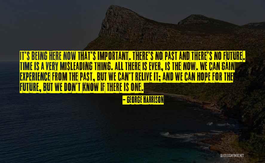 No Hope For The Future Quotes By George Harrison