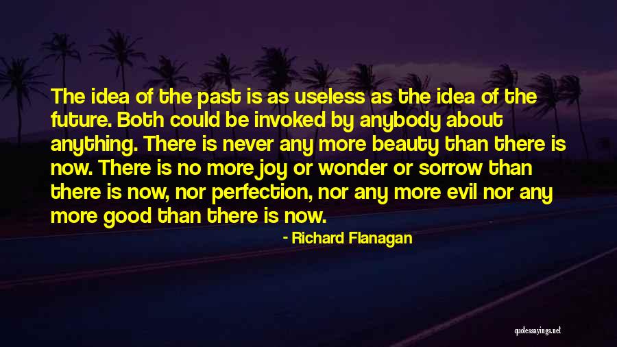 No Idea About Future Quotes By Richard Flanagan No Idea About Future Quotes By Richard Flanagan