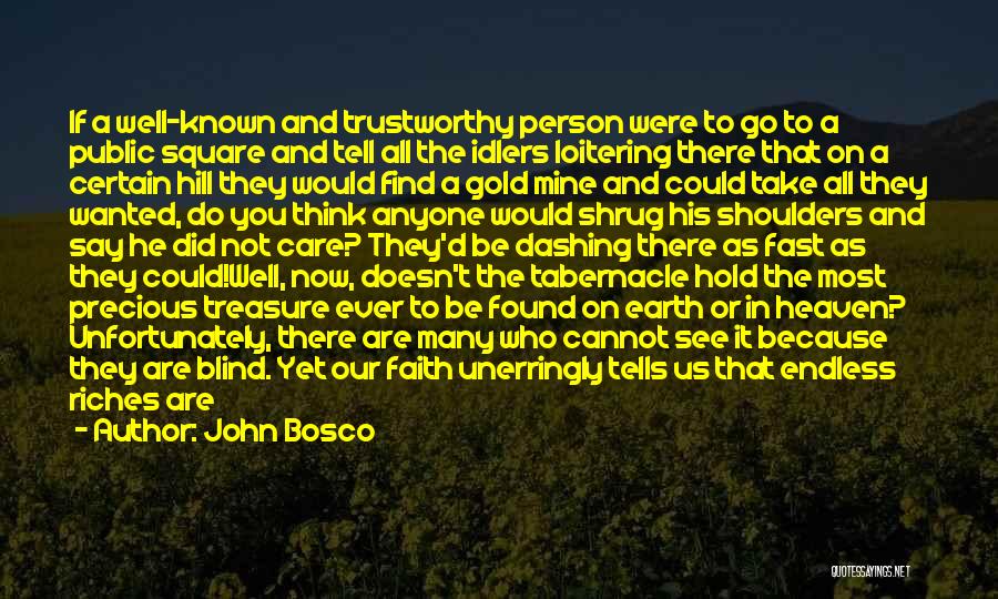 No Idlers Quotes By John Bosco