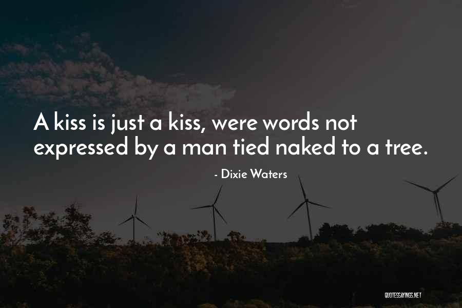 No Impact Man Quotes By Dixie Waters