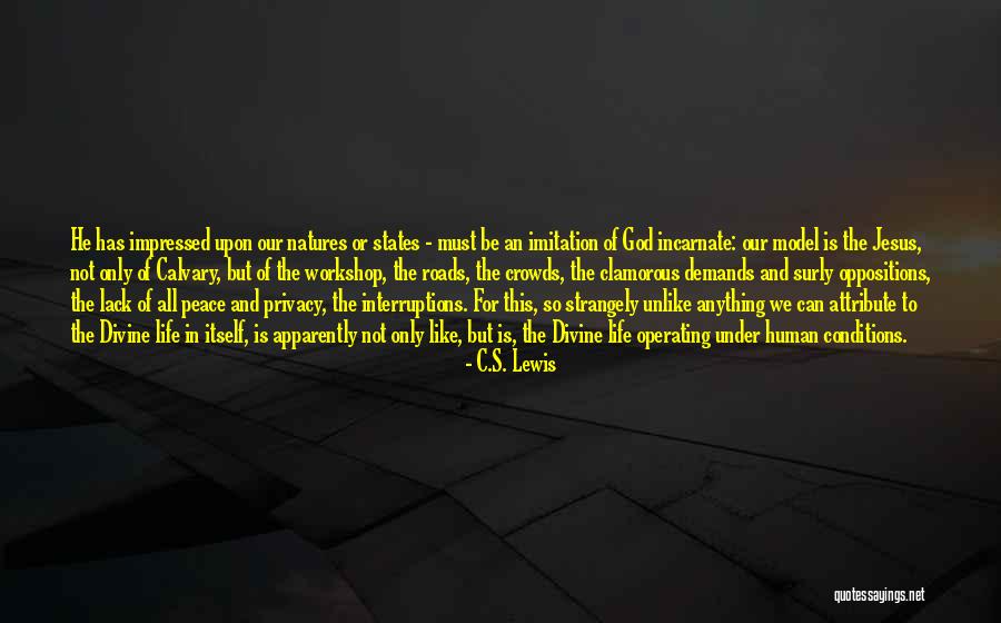 No Interruptions Quotes By C.S. Lewis